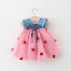 Cherry Mesh Summer Dress