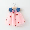 Cherry Mesh Summer Dress