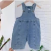 Classic Denim Dungarees