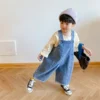 Classic Denim Dungarees